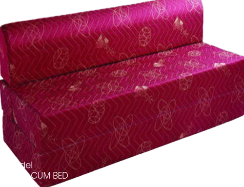Sofa Cum Bed