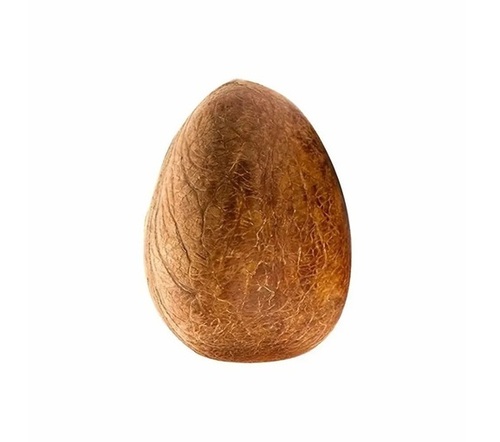 Dried Coconut By Shaishree Enterprises