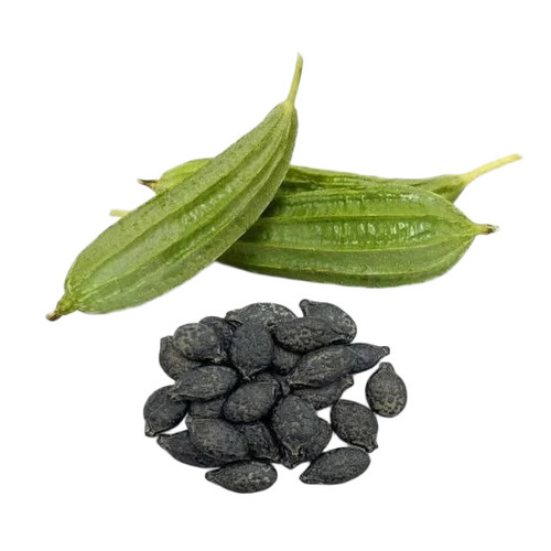 Ridge Gourd Seeds