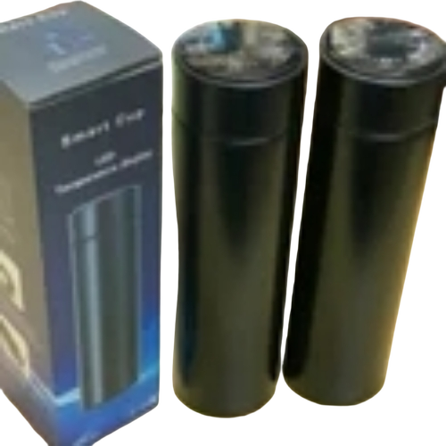 Temperature Water Bottle