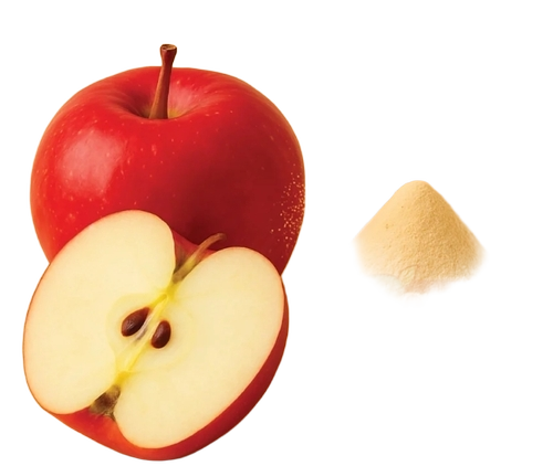 Spraydried Apple Powder - Color: Yellow