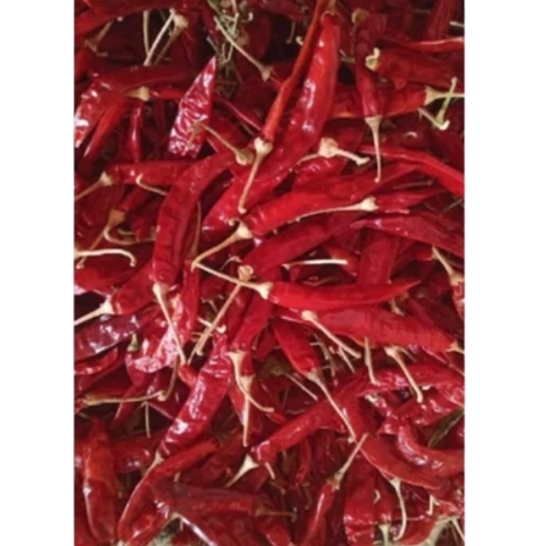 Dried Red Chilly 