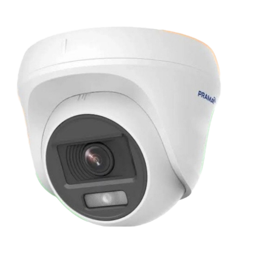 Dome Cameras