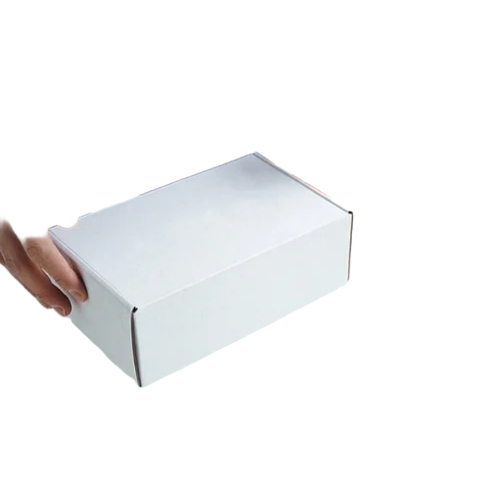 White Corrugated Cartoon