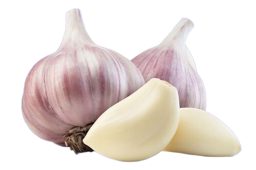 Fresh Garlic - Moisture (%): 10