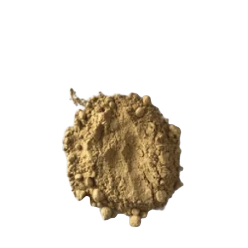 Moringa seeds powder