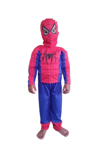 Kids Spiderman Costume