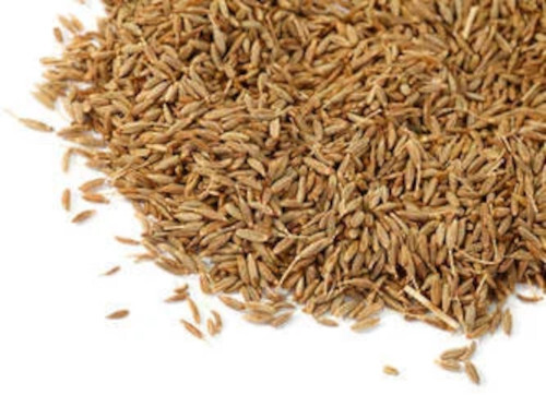 Cumin Seeds By Accept Organic And Natural Products Exim Private Limited