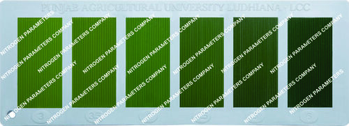 Leaf Colour Chart (Lcc) - Color: Green Shades With White Background