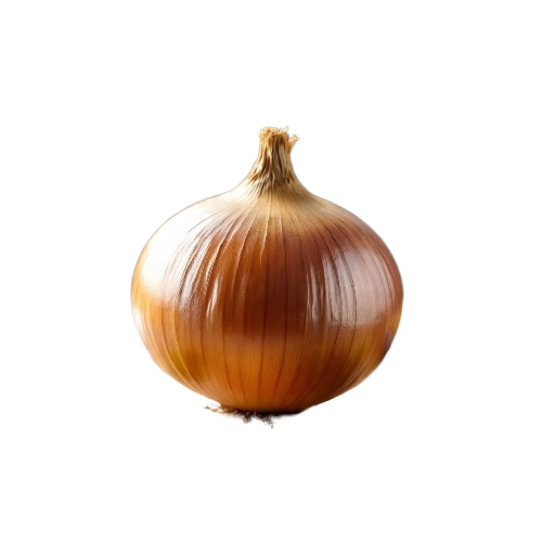 Onion