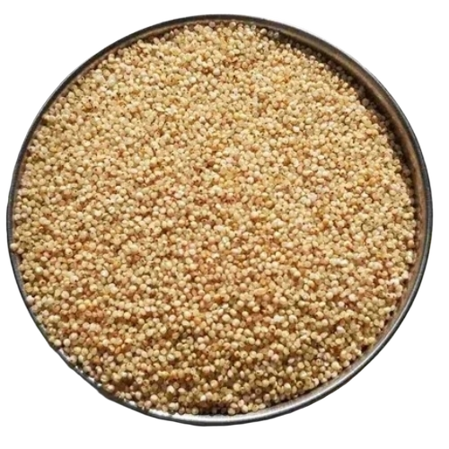 Barnyard Millet
