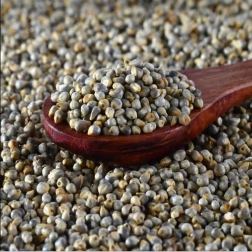 Brown Millet 