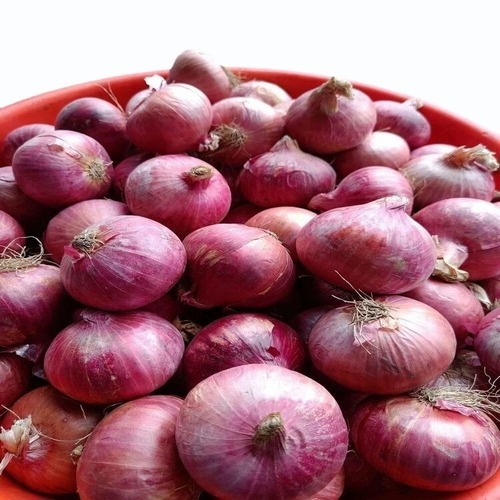 Red Onion