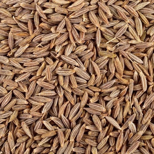 Cumin Seed