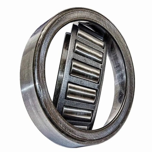 Ss Roller Bearings