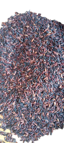 Black Rice