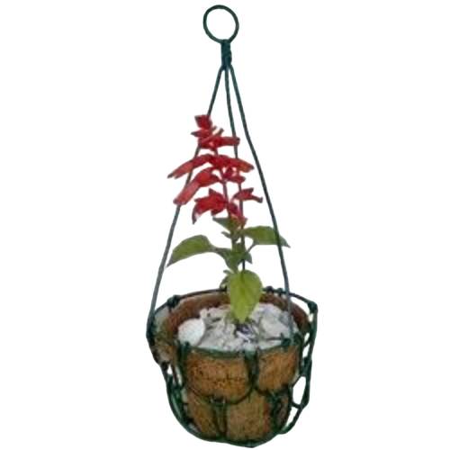 Coco Hanging Basket 