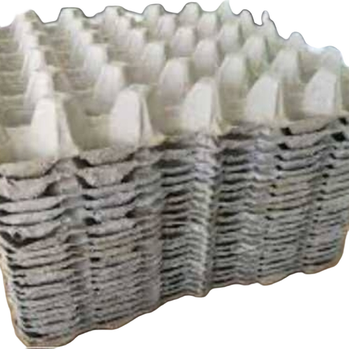 Paper Eggs Tray