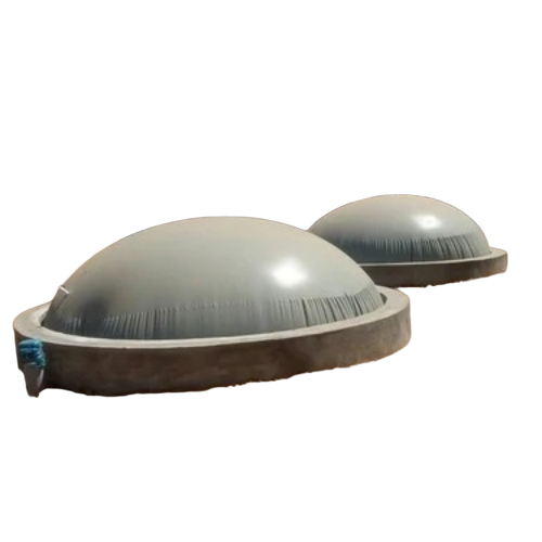 Biogas Power Generation Plant