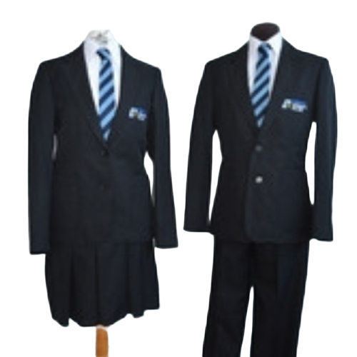 College Uniform - Collar Type: V Neck