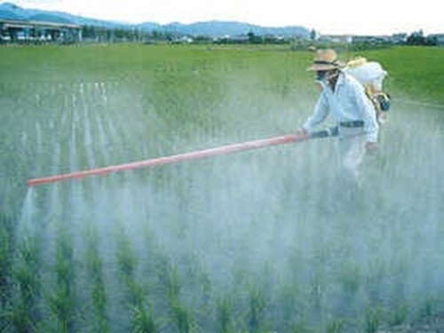 Insecticides By Insecticides India Pvt. Ltd.