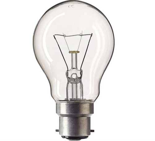100w Gls Round Bulb