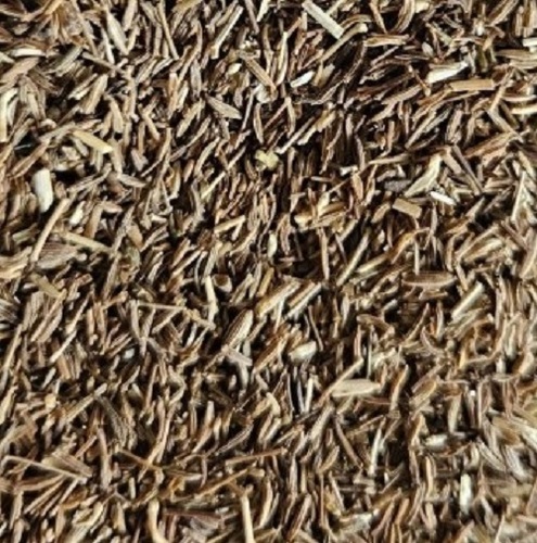 Dried Cumin
