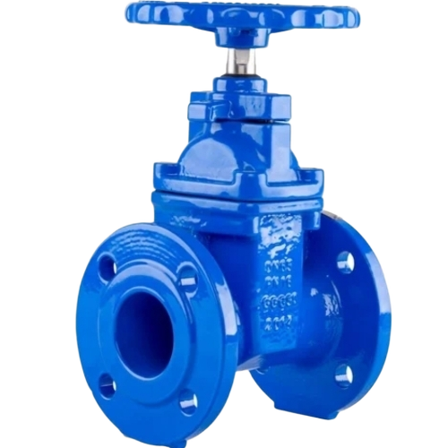 25mm Gate Valve