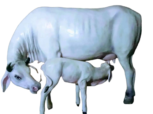 Frp Cow With Calf Statue