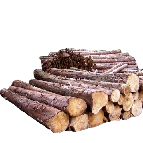 Timber 3