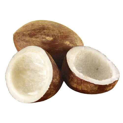 Dry Coconut
