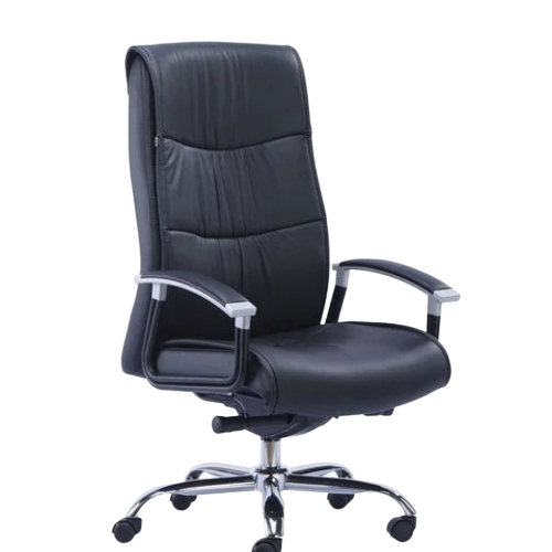 Comfortable Boss Chair