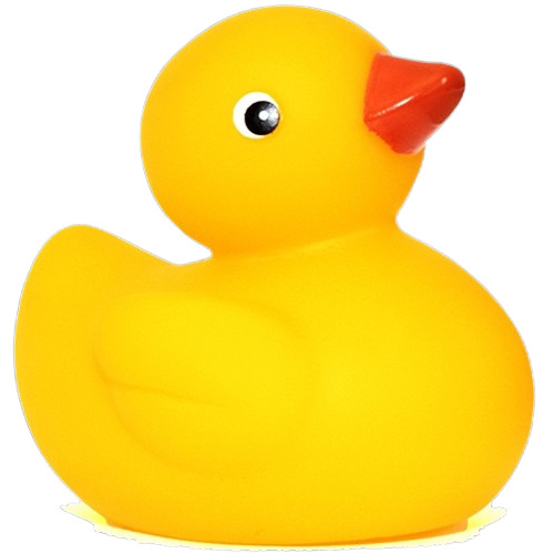 Yellow Plastic Duck