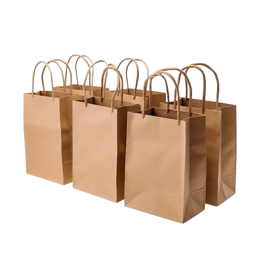 Paper Carry Bags