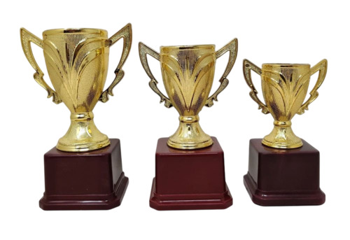 Polyresin Trophy