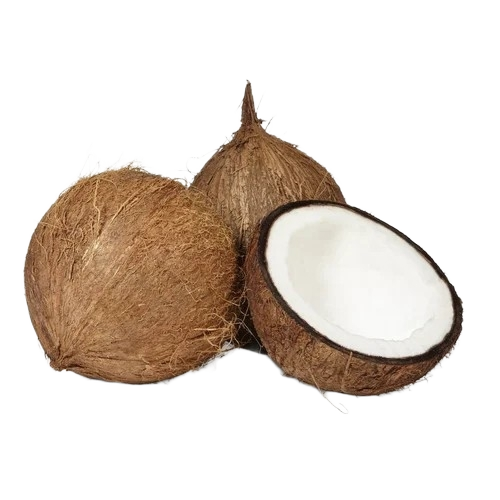 Fresh And Tender Coconut