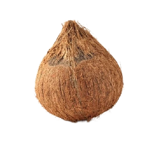 Fresh Brown Coconut