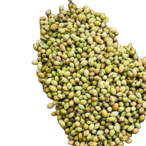 Coriander Seeds Dhaniya