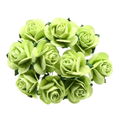 Lime Green Big Rose