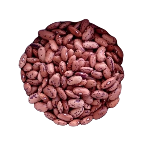 Rajma