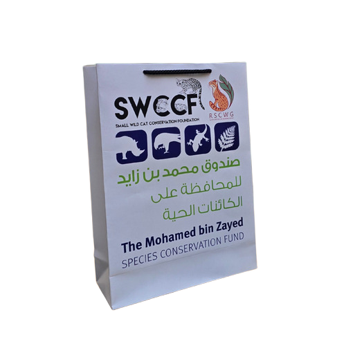 250a  300 Gsm Custom Paper Bag