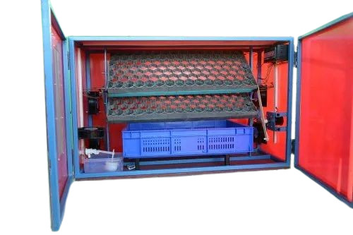 Egg Incubator Machine 