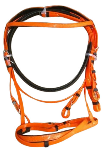 Horse Bridle