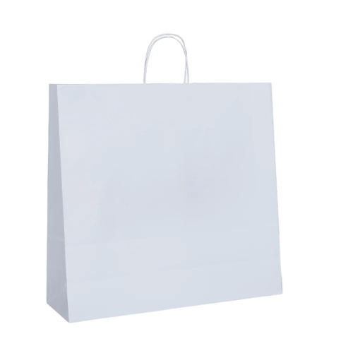 Plain Paper Bag