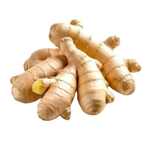 Ginger By Anuraj Farms