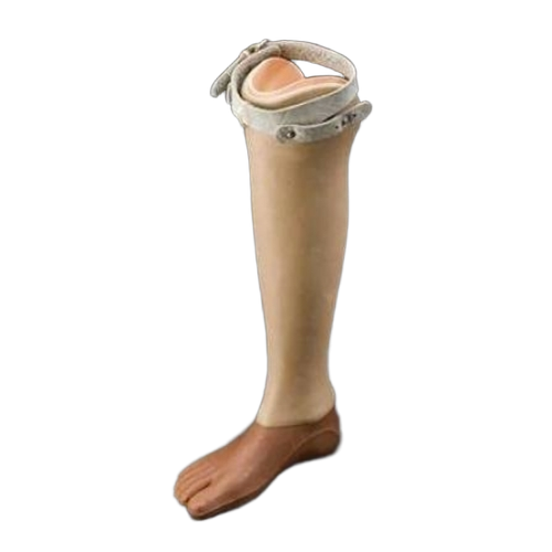 Artificial Limbs