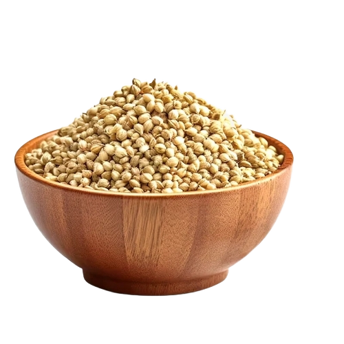 Coriander Seeds