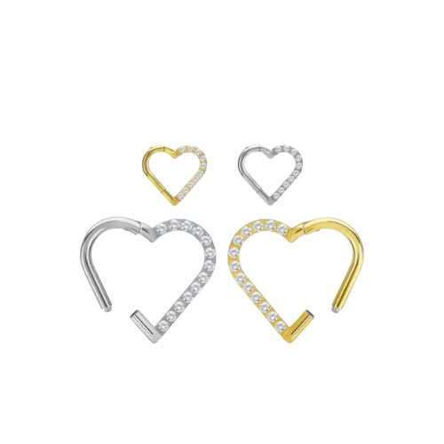 Titanium G23 Hinged Segment Ring with CZ Stones