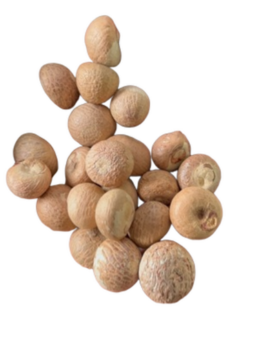 Areca Betel Nut - Broken (%): 2%