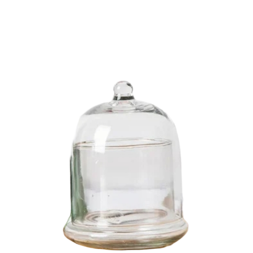 Glass Bell Jar - Glass Standard Transparent, Fine Finished | Durable, Smooth Surface, Designer Bell Pattern